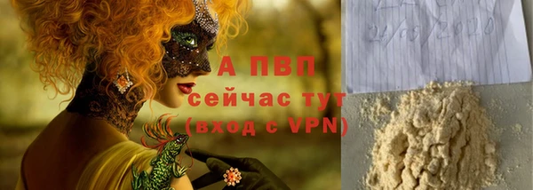стаф Богородицк