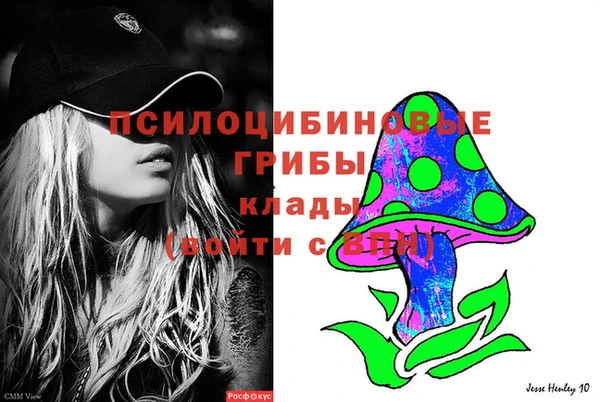 стаф Богородицк