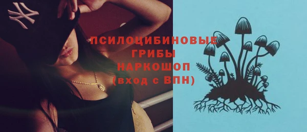 стаф Богородицк