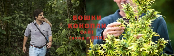стаф Богородицк