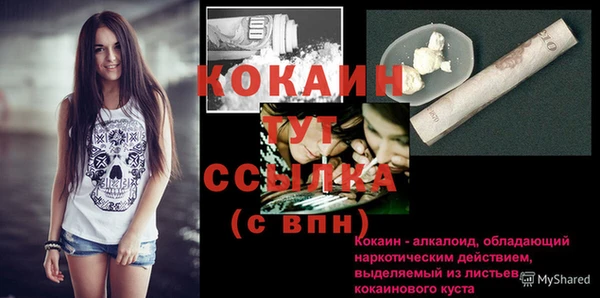 стаф Богородицк