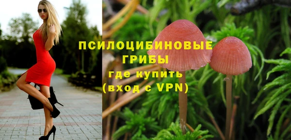 СК Богданович