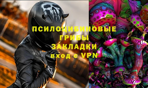 СК Богданович