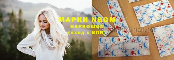 стафф Богородск